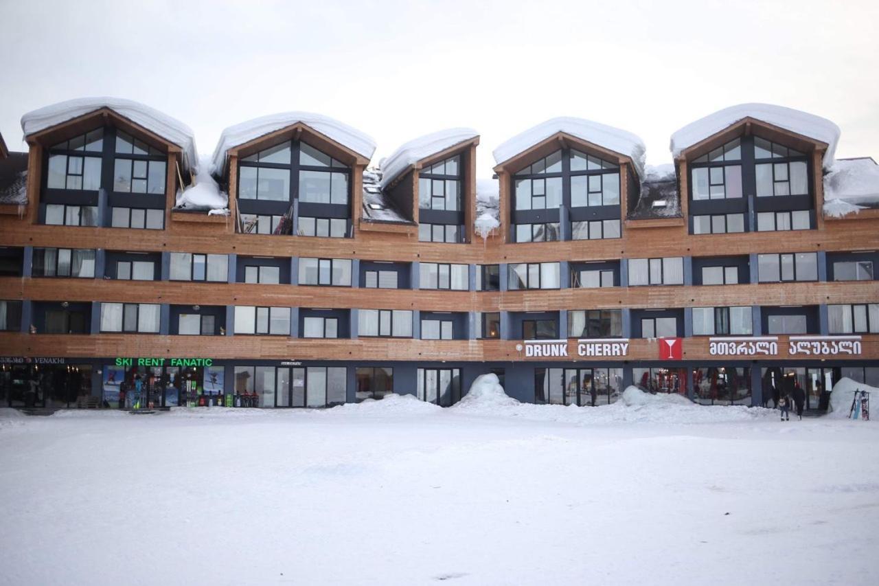 New Gudauri Block 4, Gondola Apartment Екстер'єр фото